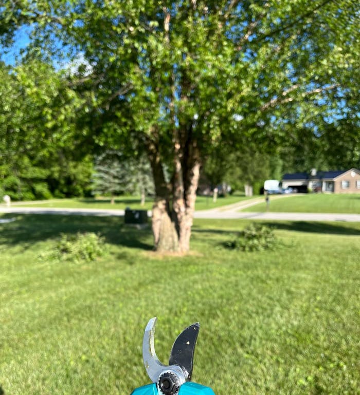 Electric Pruning Shears 1.77″ Reindeer RXL110