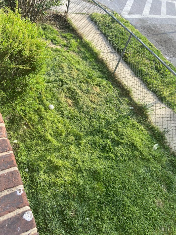 Weed Wacker Reindeer RGL100