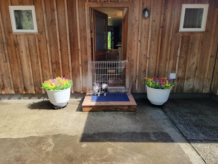 Handheld High-Pressure Car Washer Set Reindeer RYL100