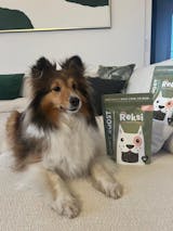 Reksi Joint Support Chewies