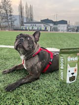 Reksi Joint Support Chewies