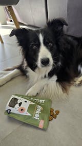 Reksi Joint Support Chewies