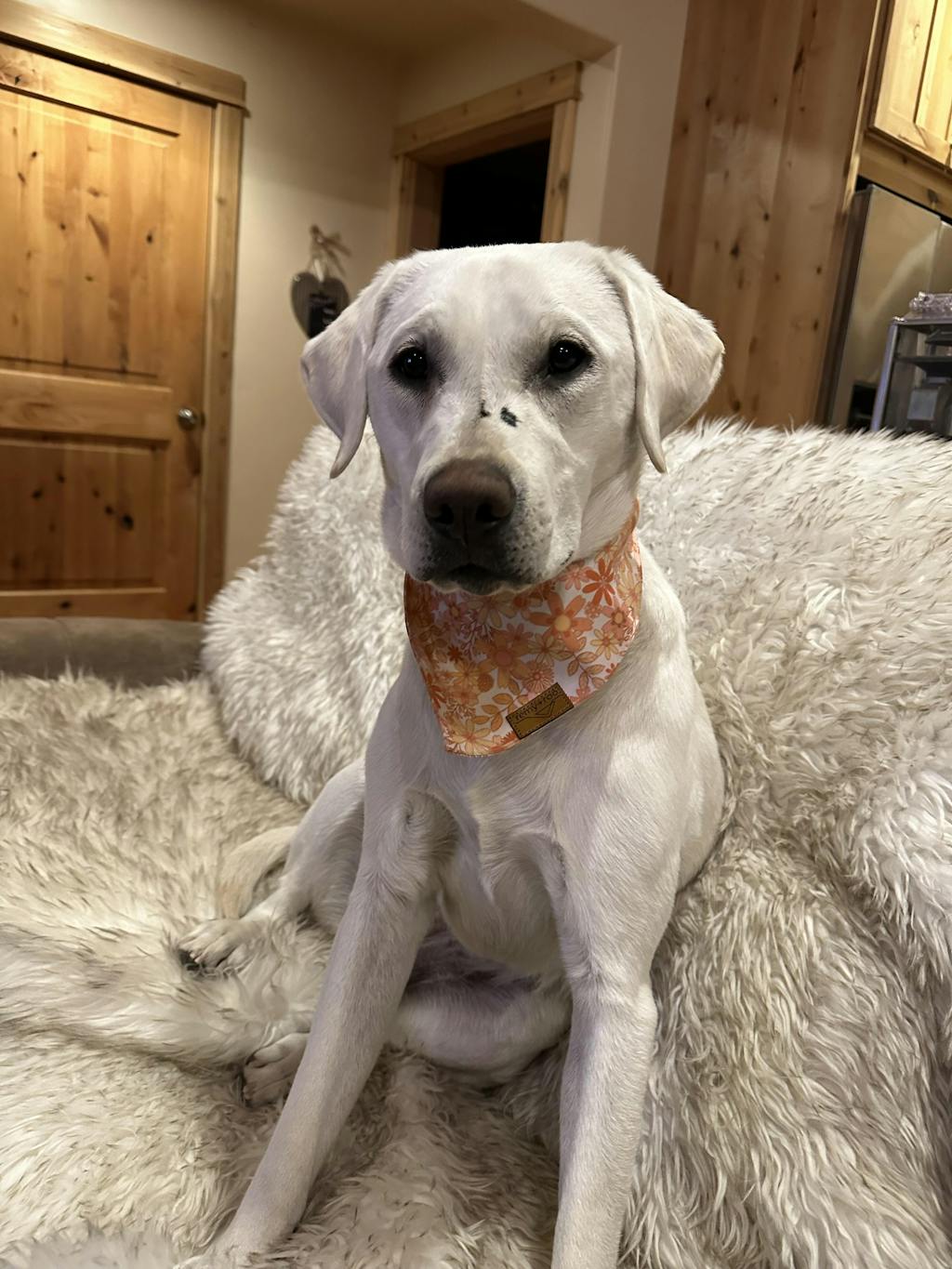 Free Unlimited Return for Store Credit or Exchanges  + Package Protection