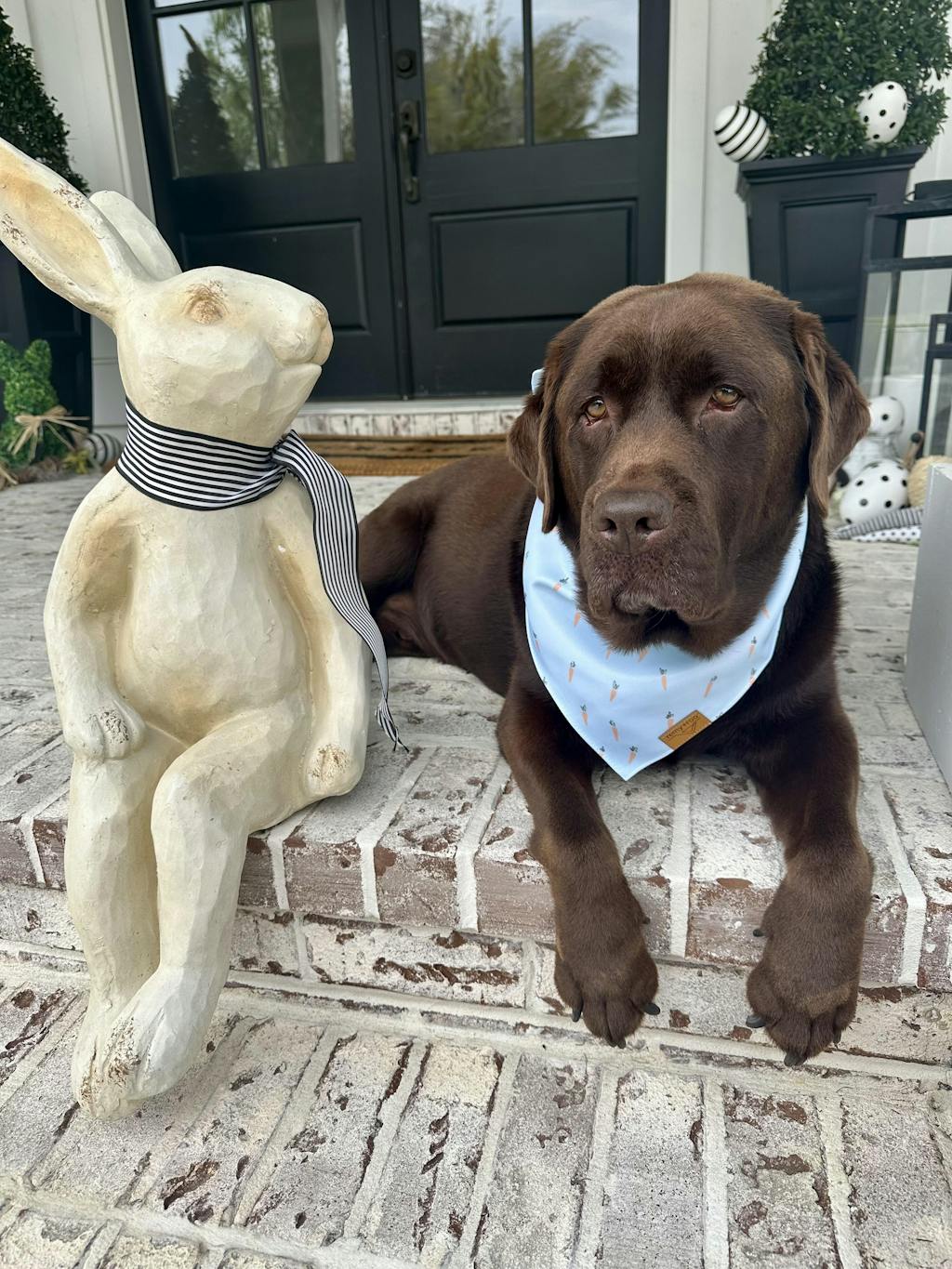 Free Unlimited Return for Store Credit or Exchanges  + Package Protection