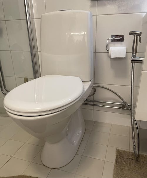 RenaRumpors Bidédusch