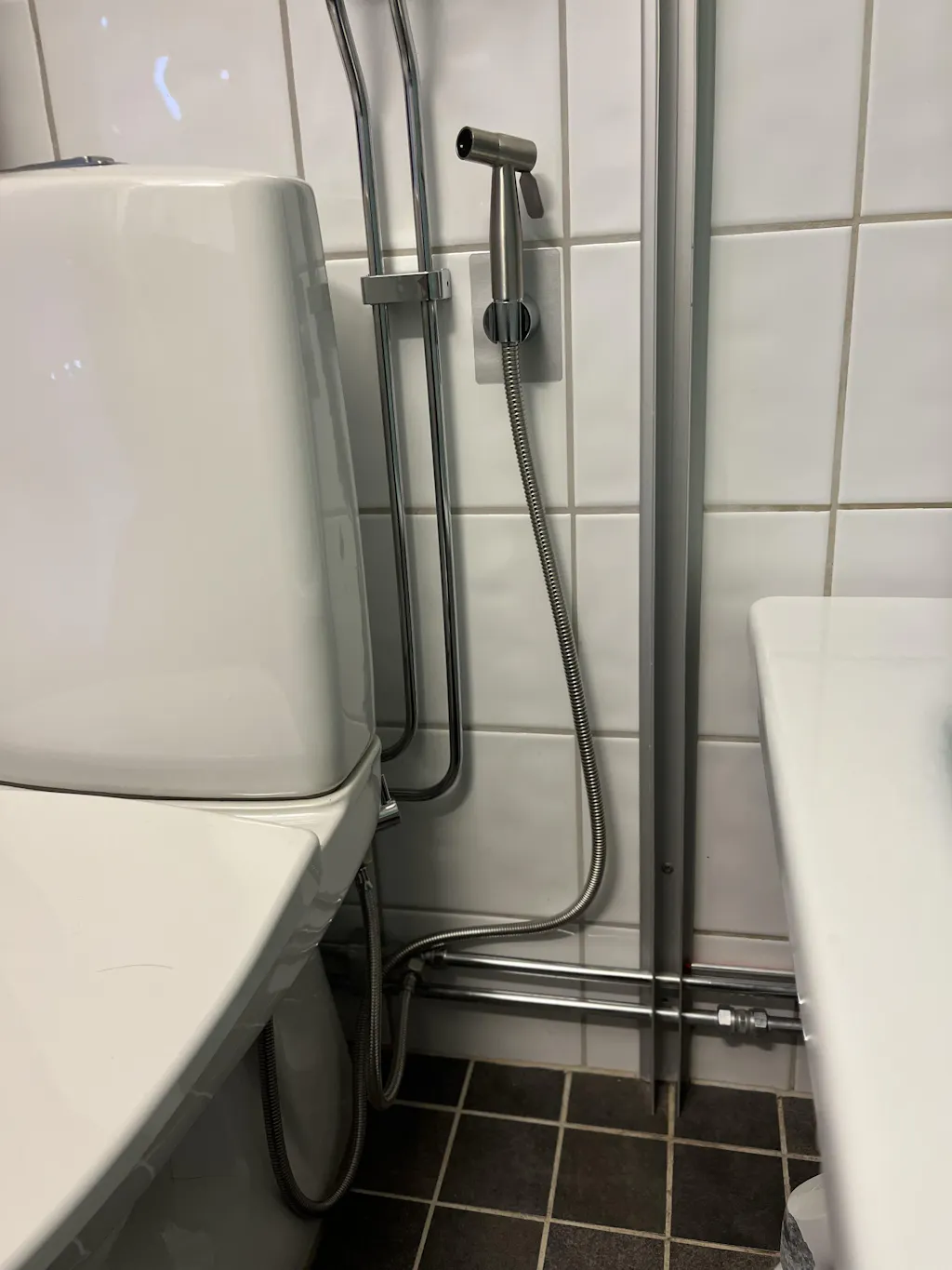 RenaRumpors Bidédusch