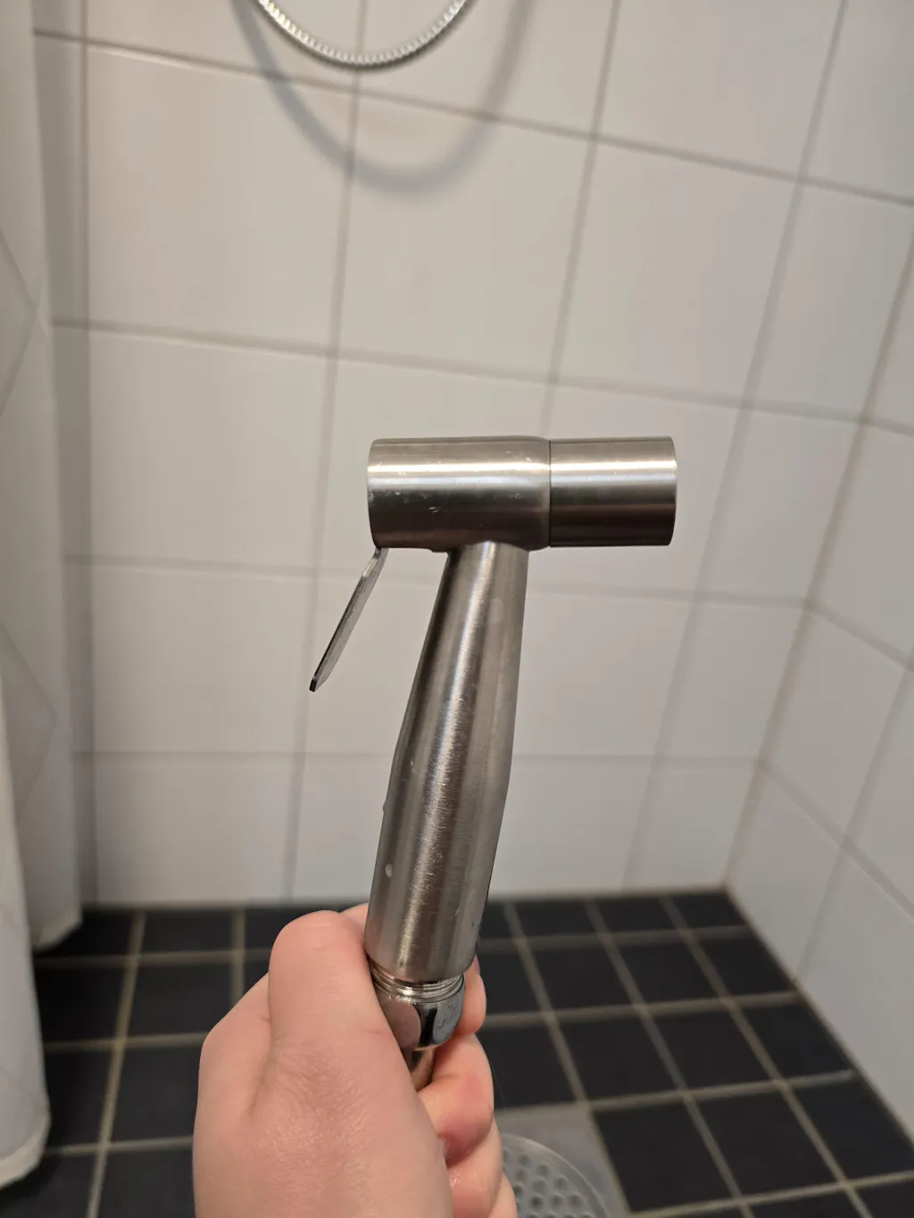 RenaRumpors Bidédusch