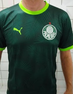 Exclusivo: Camiseta Luxury Customizada Unissex Edição Especial Feita por Fãs do Verdão + *BRINDE 1x Caneca Oficial* - EDIÇÃO LIMITADA