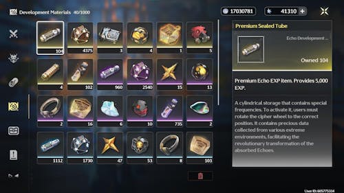 Wuthering Waves Account EU: Europe server with 100-500+ Convenes