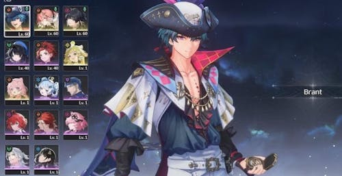 Brant Account: Wuthering Waves Starter Account