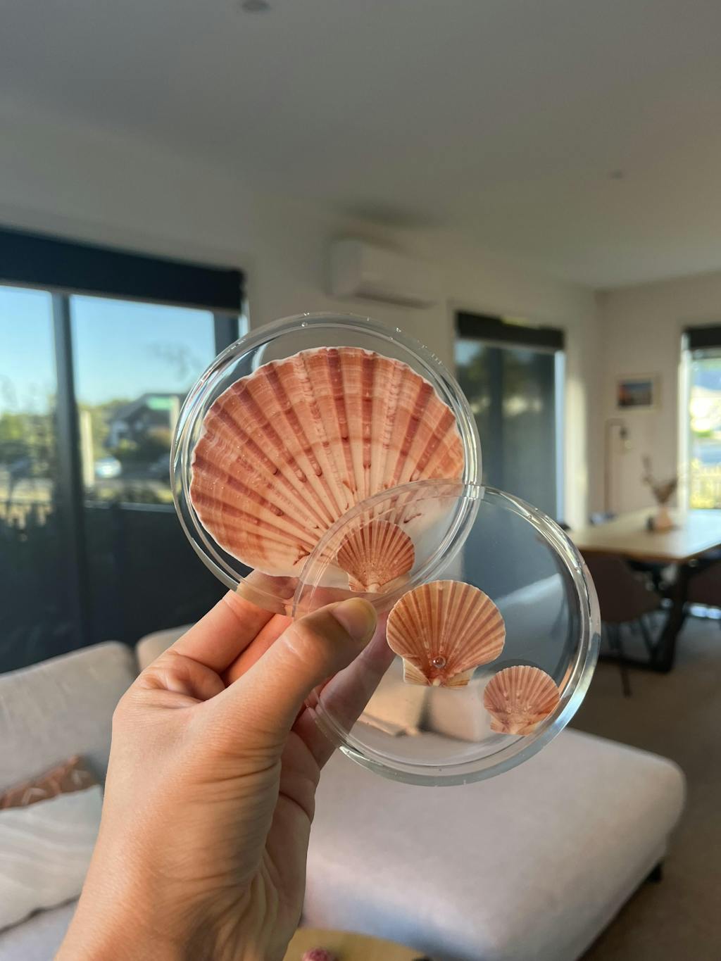 Crystal Clear Art Epoxy Resin 3 1 by Weight Resin Art NZ