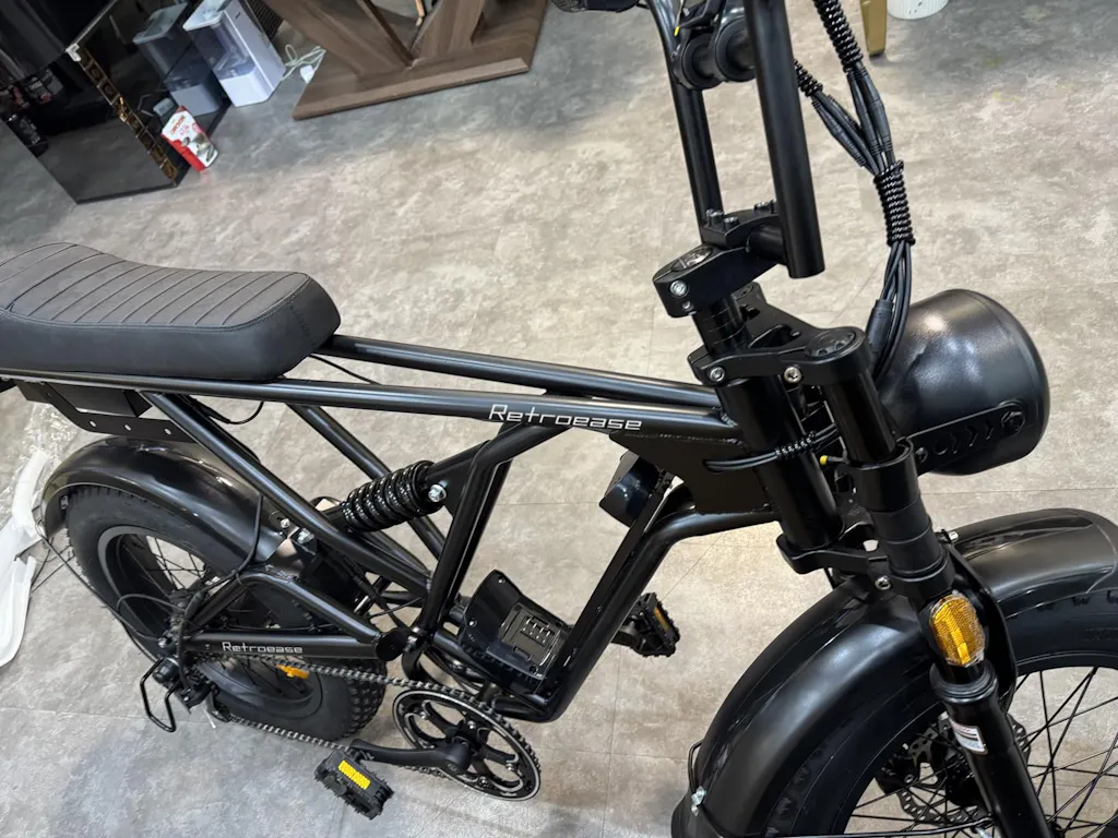 RetroEase DY005 ファットタイヤ電動自転車｜都市とアウトドア向けの
