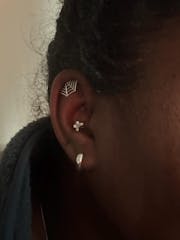 Spider Web Helix Earring