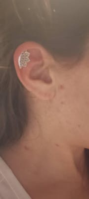 Lotus Flower Hidden Helix