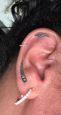 Goth Arch Hidden Helix Earring