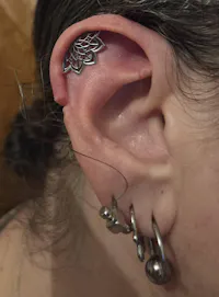 Lotus Flower Hidden Helix