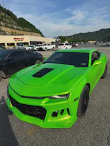 User picture