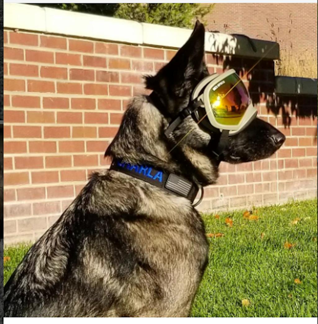 Original Replacement Lenses Rex Specs