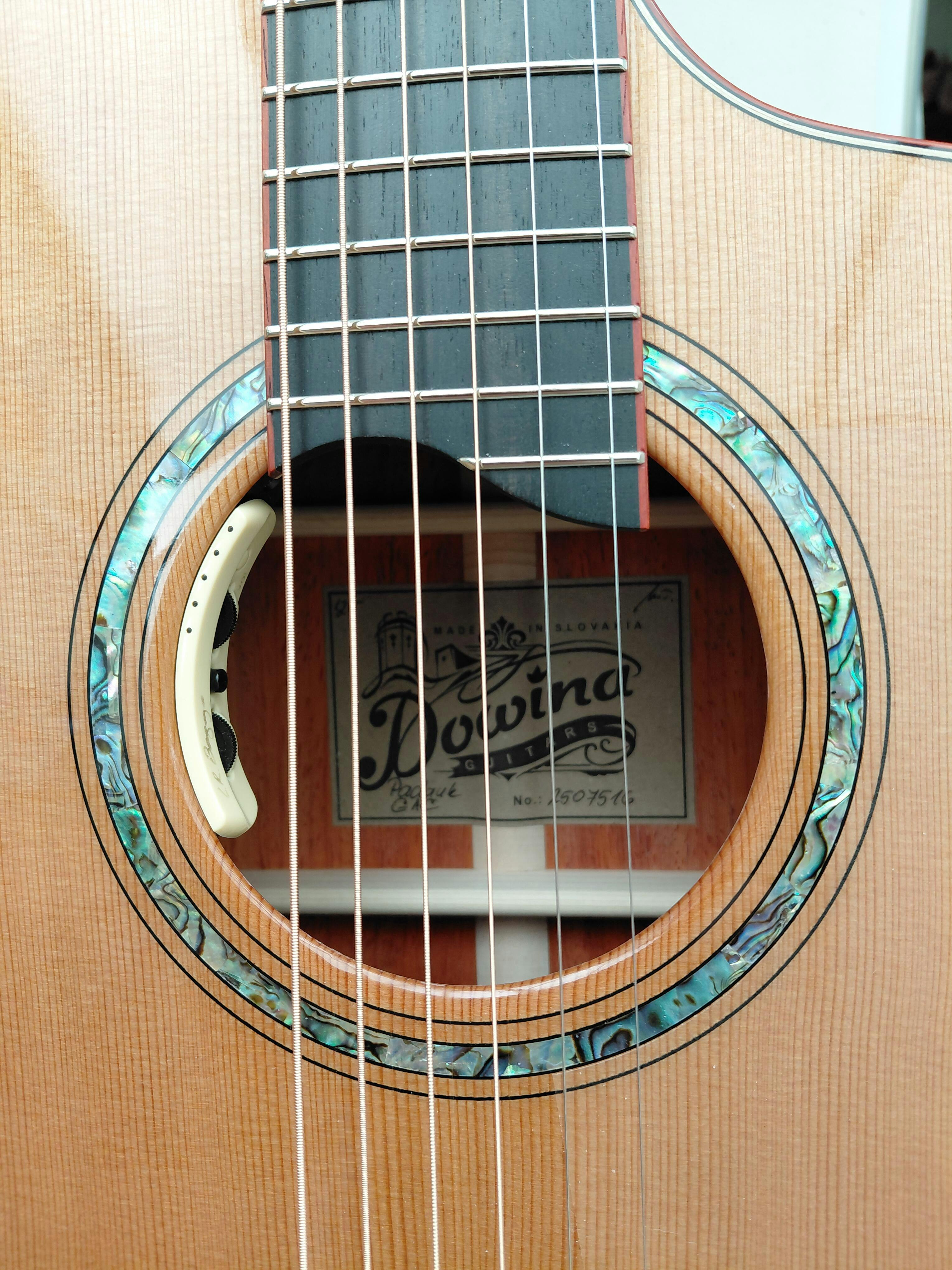 LR Baggs Anthem SL plus FREE FITTING* - Richards Guitars Of Stratford