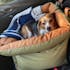 Ride Buddy - Dog Booster Seat & Bed