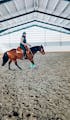 Leo riding top