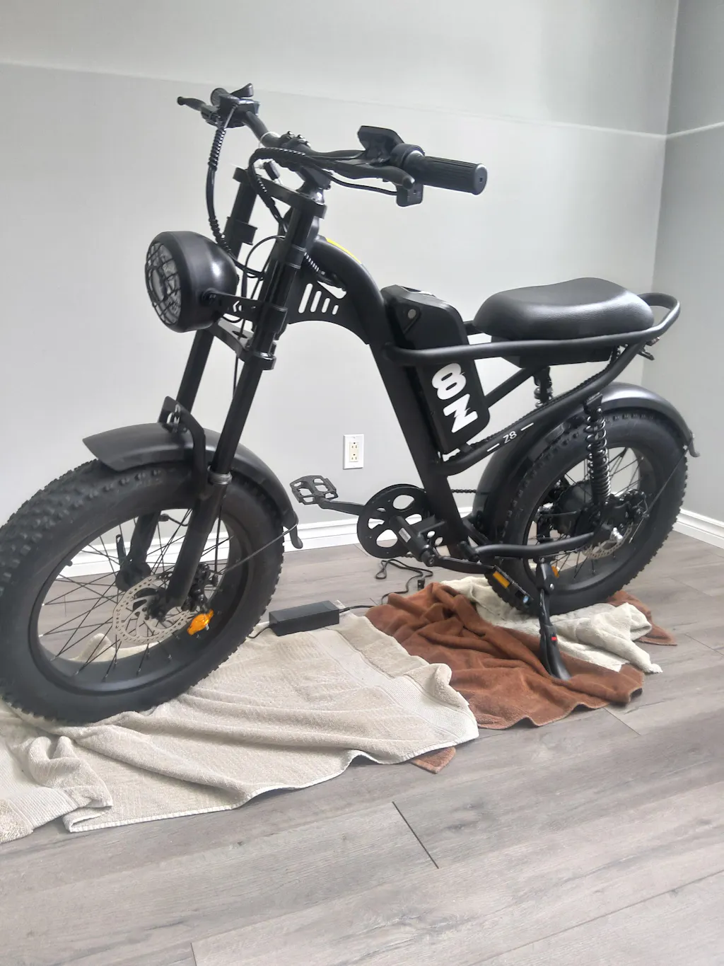 Z8 Electric Bike