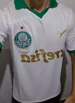 Camisa SE Palmeiras 2024/25 Away