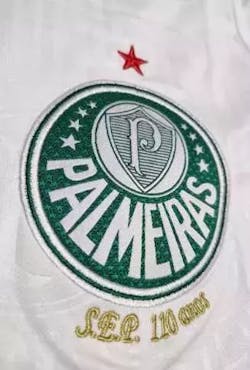 Camisa SE Palmeiras 2024/25 Away