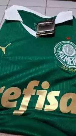 Camisa SE Palmeiras 2024/25 Home