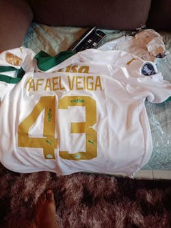 Camisa SE Palmeiras 2024/25 Away