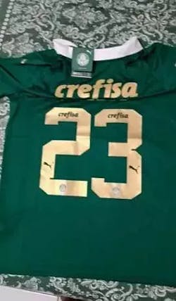 Camisa SE Palmeiras 2024/25 Home