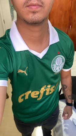 Camisa SE Palmeiras 2024/25 Home