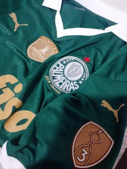 Camisa SE Palmeiras 2024/25 Home