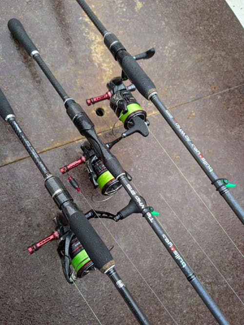 Gomexus Reel Stand R4 | Angelrollen Protectionständer für Stationärrollen