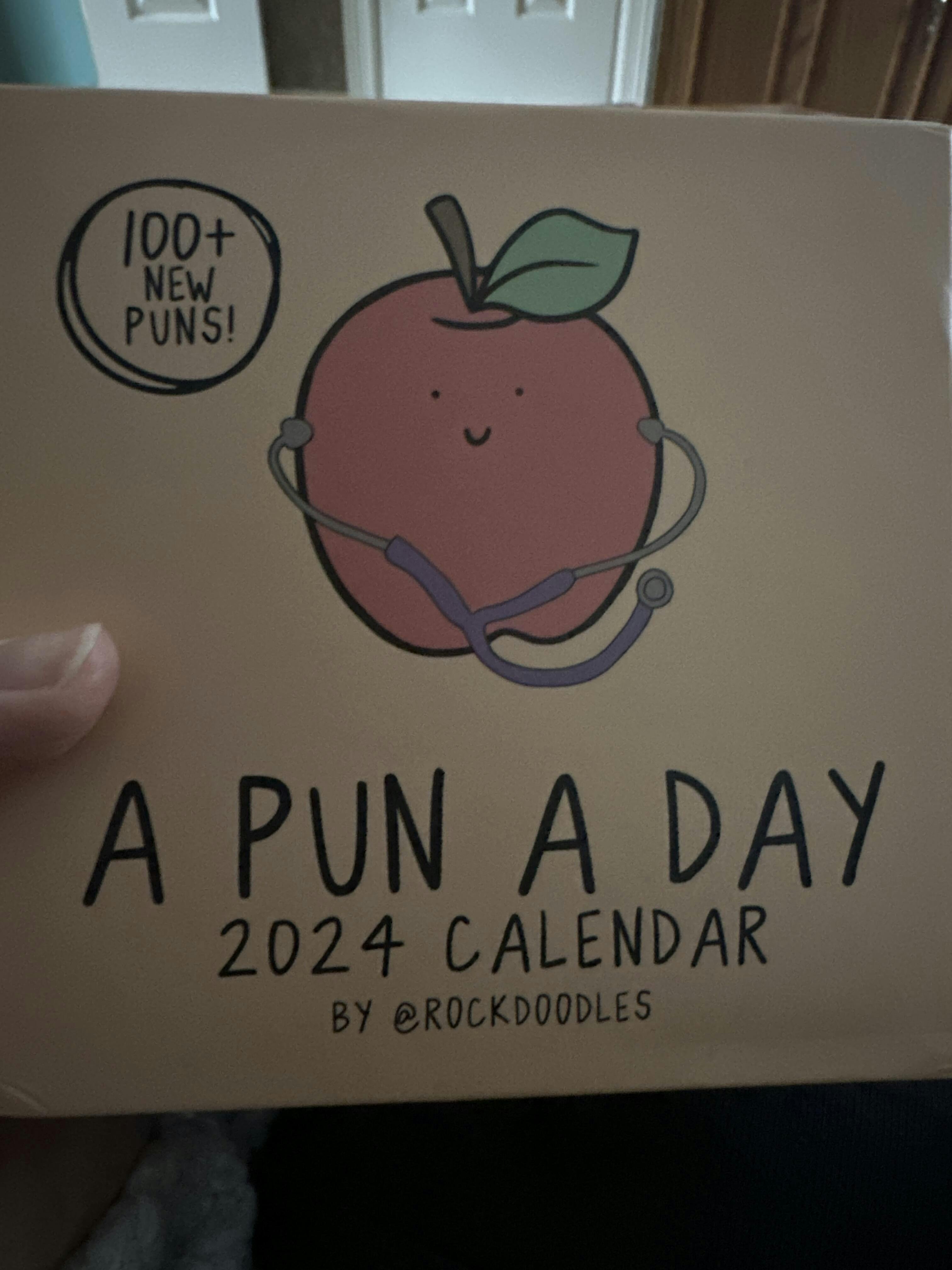 2024 Rockdoodles Punny DayToDay Calendar rockdoodles