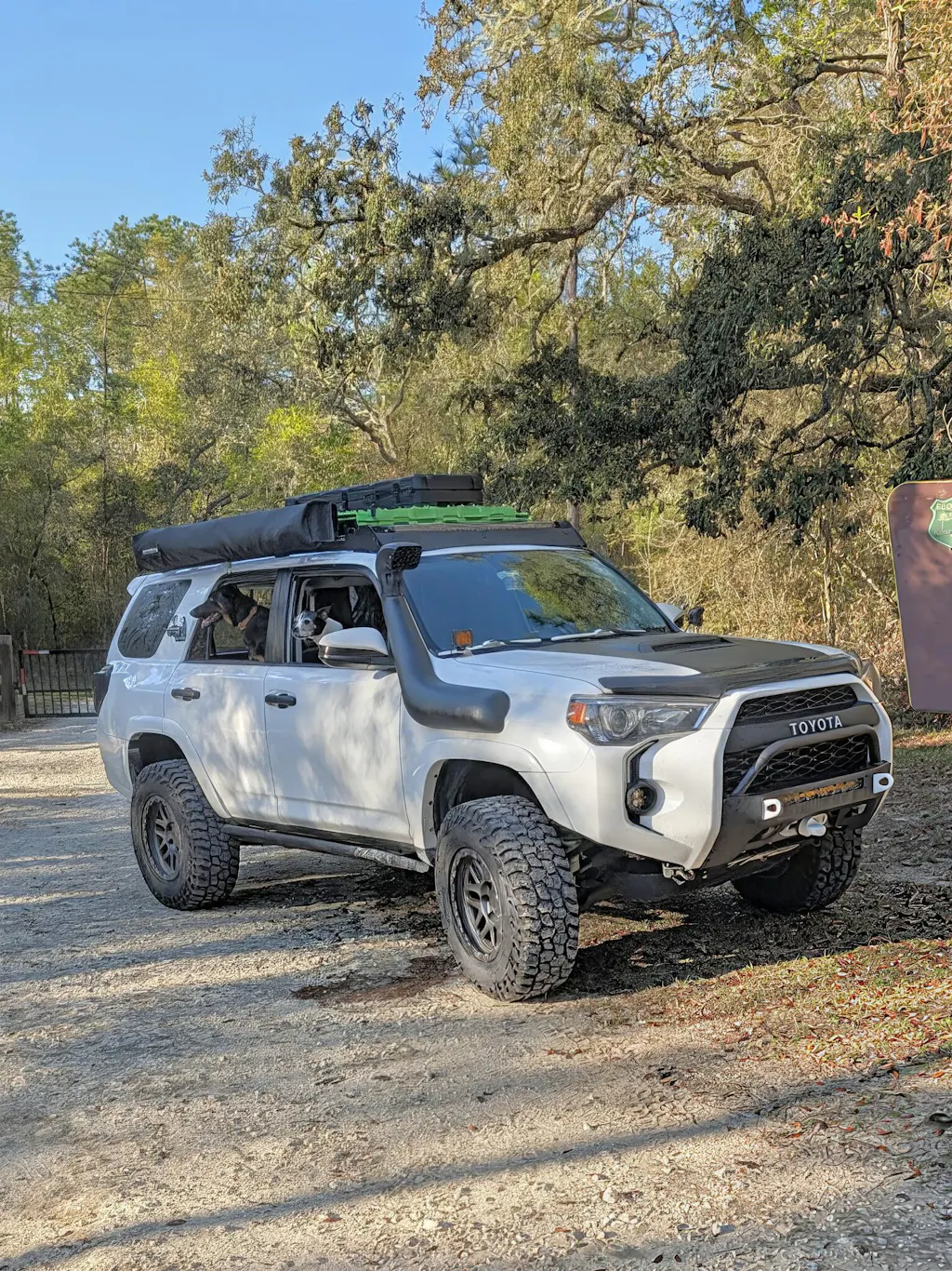 RT110 - Classic Seven Split Spoke Mesh