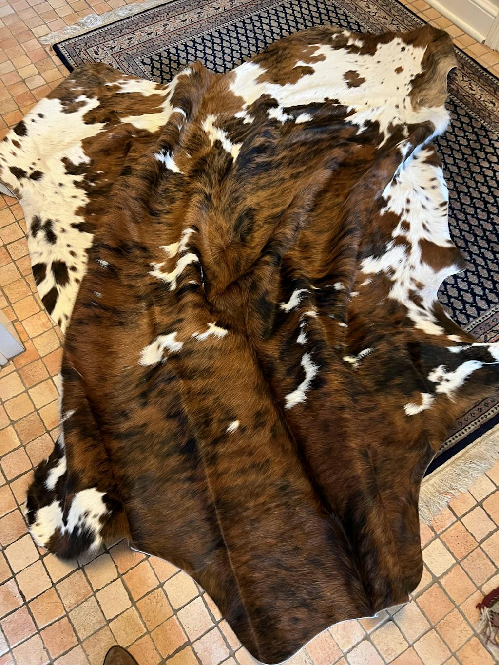 RODEO COWHIDE RUG FOR SALE BEST PLACE TO BUY COWHIDES