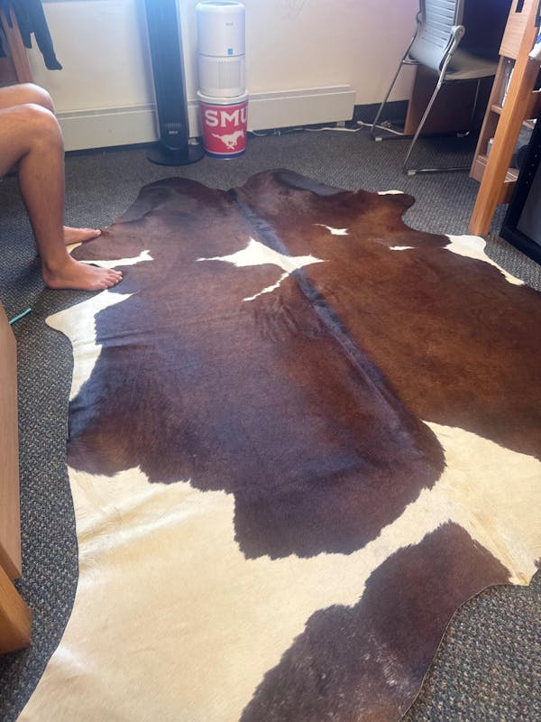 Rodeo Cowhide Rugs