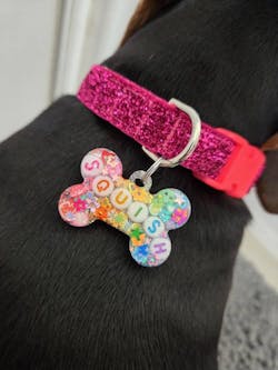 Raspberry Sparkle Dog Collar