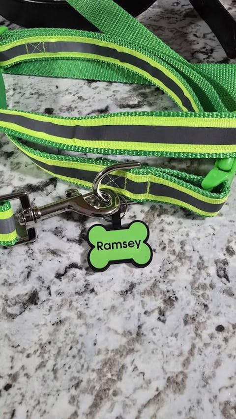 Neon Yellow Reflective Safety Dog Collar