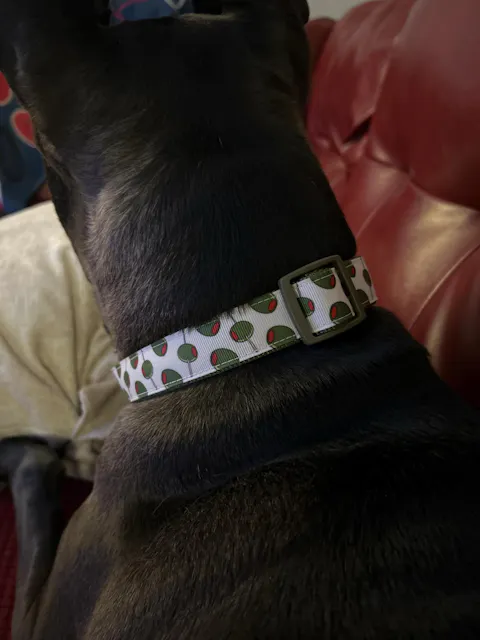 Martini Olives Dog Collar