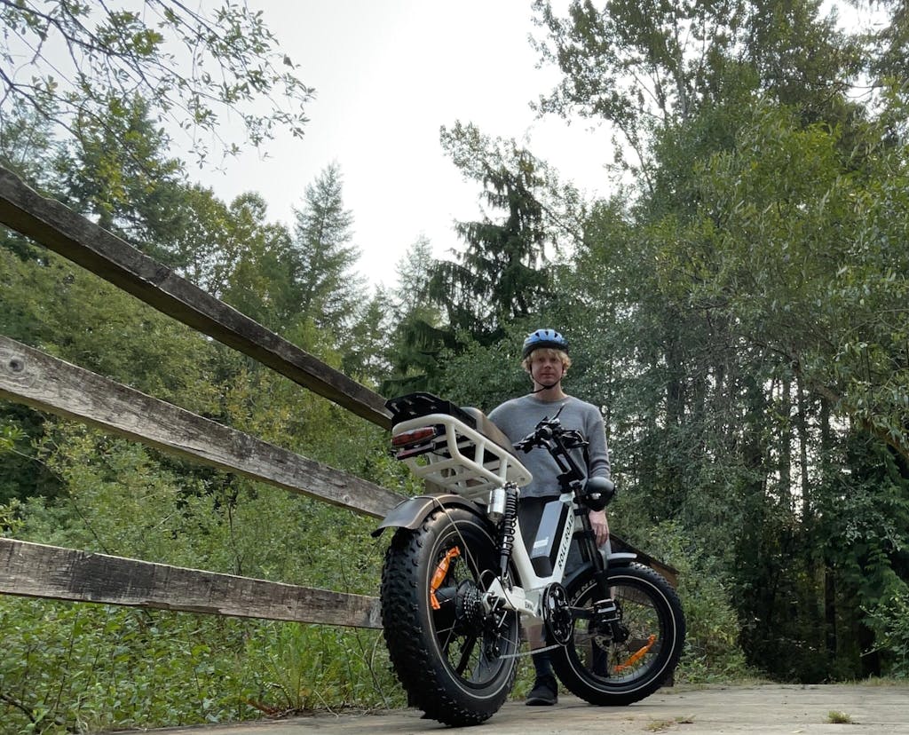 NEW EMMA Roll Road Ebike