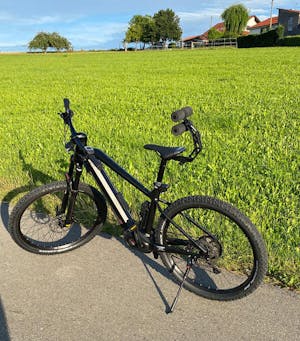 Rollerback® Comfort