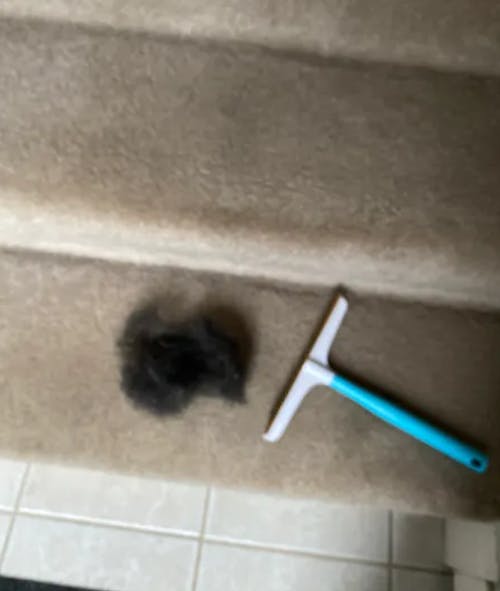 RonronClean™ – Poils retirés sans effort