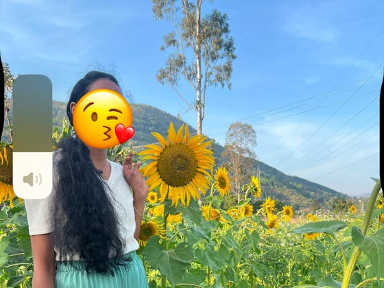 Off-white Shade V Neck Top With Puff Sleeves (Top Only)