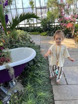 "Who Brought Snacks?" Organic Cotton Tee