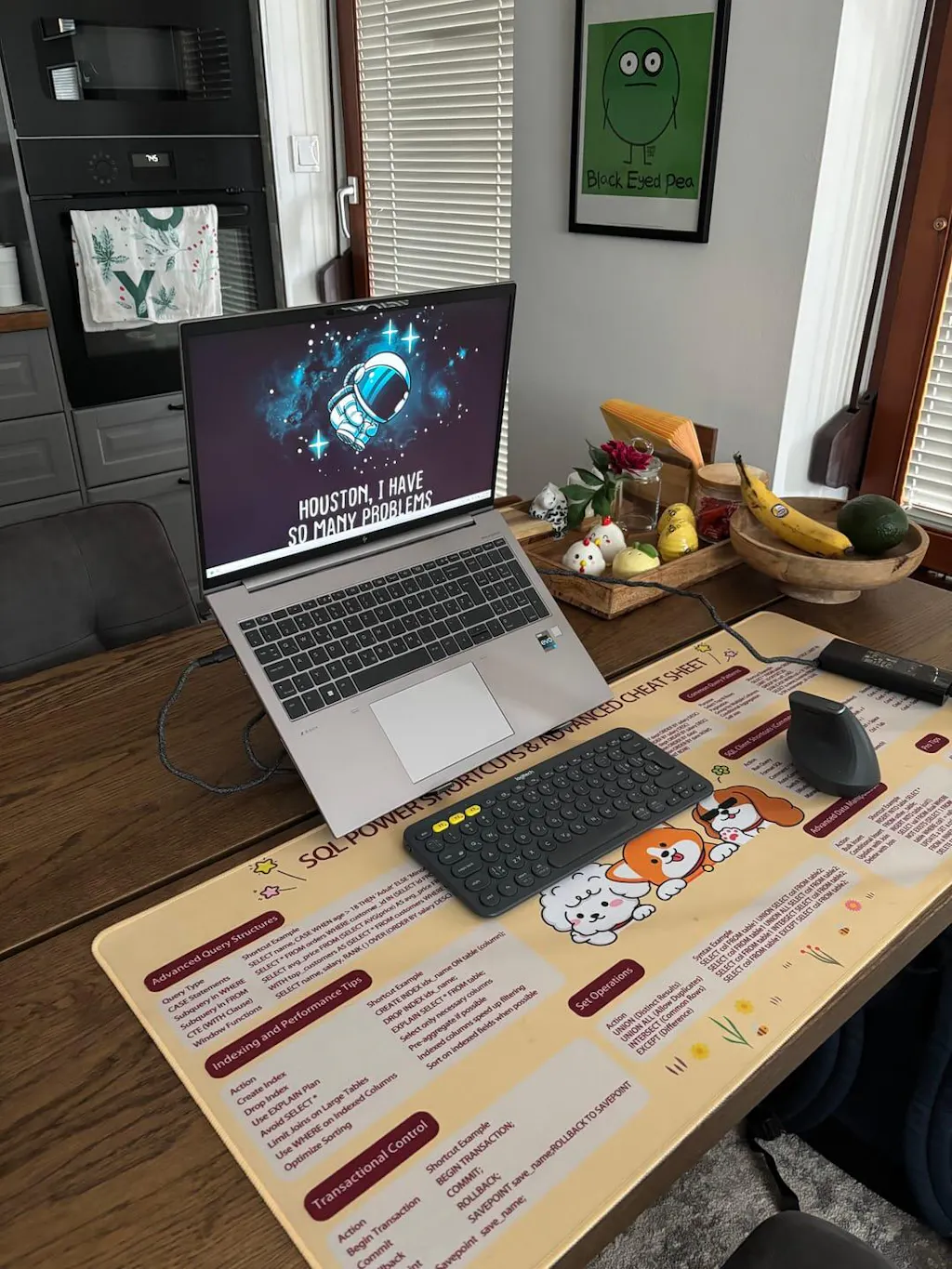 16” tragbarer Monitor + Ständer