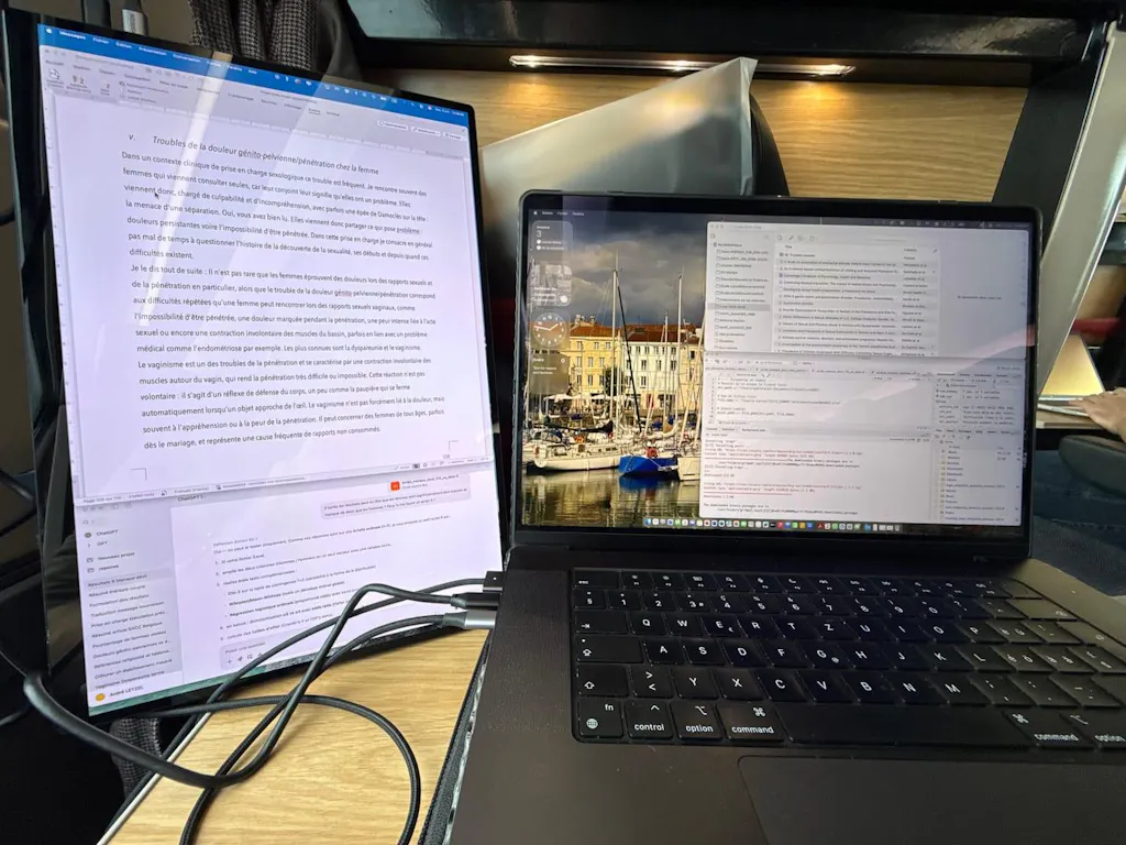 16” tragbarer Monitor + Ständer