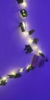 Single Vine String Light Set  Aesthetic Room Wall Decor - roomtery