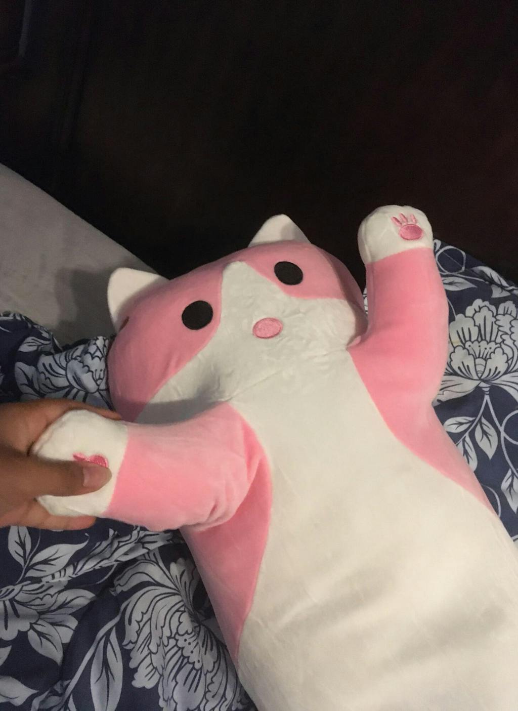 Kawaii Sausage Cat Plush Toy Shop Online on roomtery